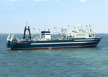 Arrastreros Congeladores