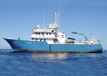 Otros Buques de Pesca